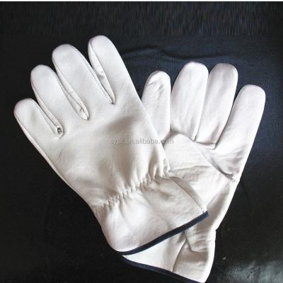 China Tween Hand Industrial Leather Gloves for sale