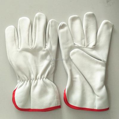 China Tween Goat Grain Leather Goat Leather Safety Gloves With Driver Cheap Leather Gloves for sale