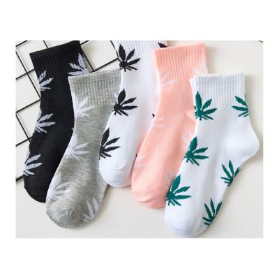 China Multiple color of good hot sale even sporty breathable and comfortable to wear socks for Lady for sale