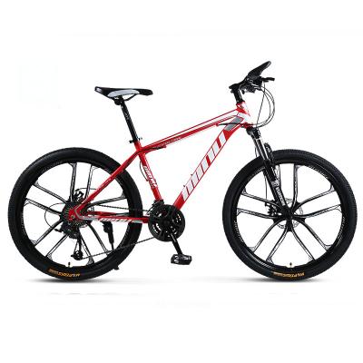 China Carbon Fiber Full Suspension Professional Men's Fat Tire Moutain Bike for sale