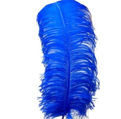 China Wholesale Ostrich Feather 60-65cm Female Ostrich Feathers For Decoration for sale