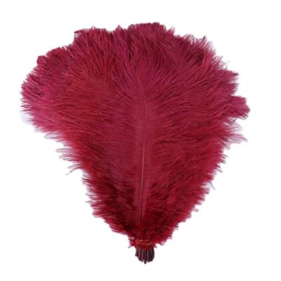 China Small Size Decorative Dyed Pheasant Feather FH213 Ostrich Feather for sale