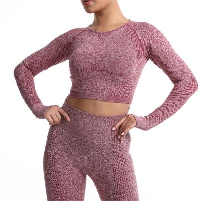 China 2021 Bright Yoga Running Quick Dry Wear Set Breathable Seamless Yoga Sets for sale