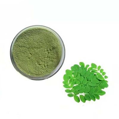 China Wholesale Moringa Oleifera Leaf Extract Water Soluble Powder Plant Moringa Leaves Dietary Supplement for sale