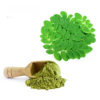 China High Quality Water Soluble Moringa Leave Extract Moringa Leave Powder Food Supplement for sale