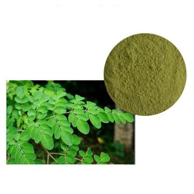 China Pure Dietary Supplement Moringa Leaf Extract Powder Moringa Leave Powder Moringa Oleifera Leaf Extract for sale