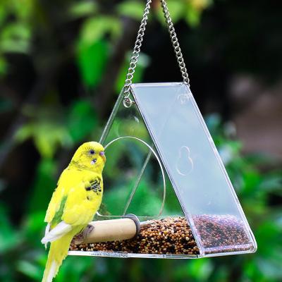 China Sustainable Novelty Snoring Clear Acrylic Window Bird Food Feeder for sale