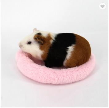 China Guinea Pig Beds Winter Sustainable Bed For Rabbit Hamster Mats for sale