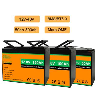 China Solar System OEM/ODM LiFePO4 BMS Lifepo 4 Battery Pack 12V 48V 120Ah 150Ah 170Ah 200Ah 300Ah LiFePO4 Lithium Ion Battery for sale