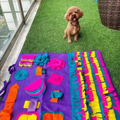 China Travel Nose Mat For Dogs , Interactive Dog Toys Slow Down Mat Nose Work Feeding Mat For Dog for sale