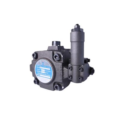 China Taiwan Dongtai High Pressure Variable Electric Drive Industrial Tooling Vane Pump HVP40-F-A3 Hydraulic Oil Pump for sale