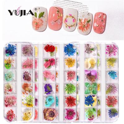 China New nail art DIY nail strip Japanese long dry flower 12 grid boxed flower all over the sky small daisy flower dry eternal f nail for sale