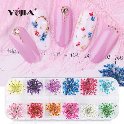 China Nail Art DIY Nail Dry Flower Nail Decoration All Over The Sky Star Sunflower Daffodil Five Petal Small Dry Flower Real Flower for sale