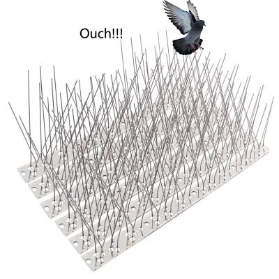 China Factory Viable Low Price Custom Stainless Steel Kit 10 Feet Freeze Perfect Bird Repellent Anti Bird Spikes for sale