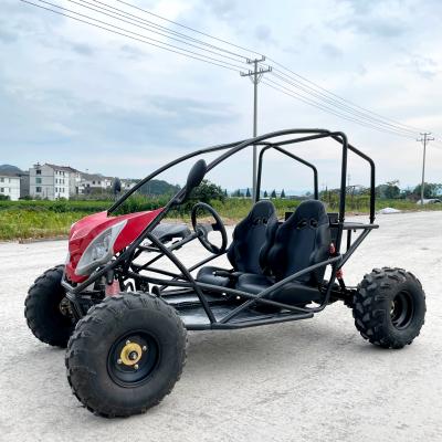 China LNA you just found the best 1500w two seater electric go kart 19*7-8 / 18*9.5-8 for sale