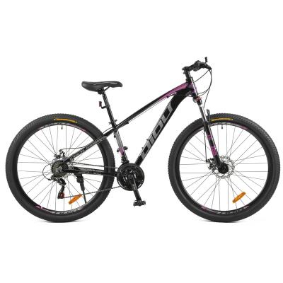 China 2021 hot sale street moutain bike 29er 21 speed bicicleta 29 with disc brake fashion cheap mtb bike for sale