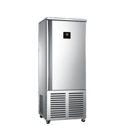 China Single-temperature Stainless Steel Commercial Walk-In Freezer For Sale Negative Tray Air Cool Quick Freezer 10 40 Degree Fridge for sale