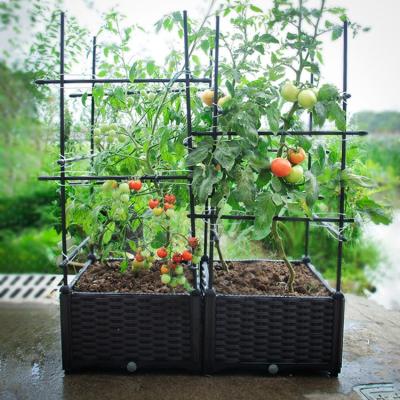 China Easily Assembled Garden Plant Support Cage Garden Trellis Climbing Flowers Stand Rings Tomato Support for sale