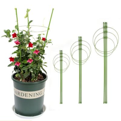 China Easily Assembled 3 Rings Garden Plant Climbing Sticks Garden Trellis Flower Support Tomato Cages Support Canes for sale