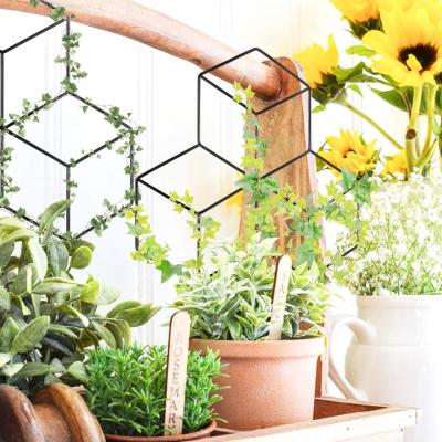 China Easily Assembled BRICE Garden Metal Trellis Lattice-Shaped Plant Trellis For Potted Climbing Vegetables DIY Plants Support Flower Rose for sale