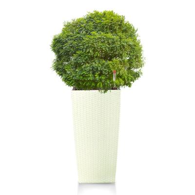 China Outdoor Self Watering Planter Comedero de verduras tree pot BRICE Olla de verduras garden planter tall raised planter for sale