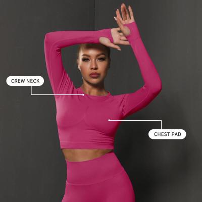 China Breathable New Style Sexy Long Sleeve Stretch Fitness Sports Running Seamless Yoga Top for sale