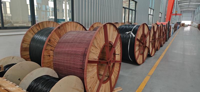 Fournisseur chinois vérifié - Shandong Jinyu Cable Co., Ltd.