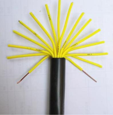 China Multi Conductor And Versatile Control Cable For Automation And Instrumentation for sale