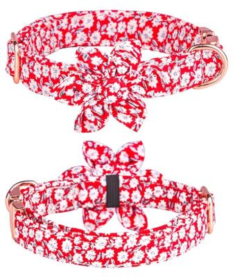 China Sustainable Pet Leash Collars Dog Collar Pet In Dark Dog Leashes And Collars for sale