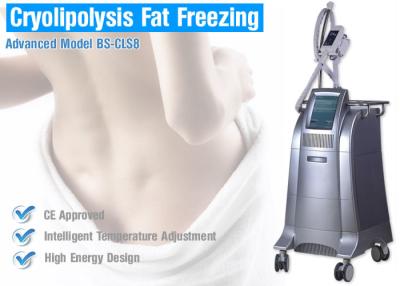 China Cryolipolysis Vet het Bevriezen Lichaam die Materiaal voor Lichaams het Een nieuwe vorm geven/Vermageringsdieet beeldhouwen Te koop