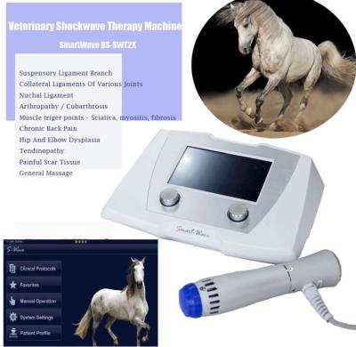 China High Energy Equine Shockwave Machine Aluminium legering kartondoos Te koop