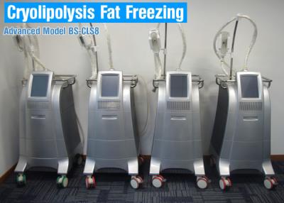 Chine Corps de CoolSculpting Cryolipolysis amincissant la machine/gros équipement de réduction indolores à vendre