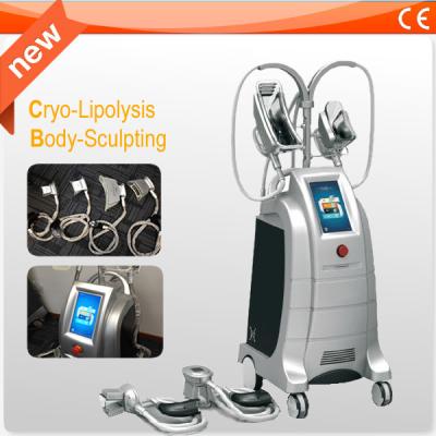 Cina Attrezzatura di perdita di peso di Cryolipolysis di 4 maniglie che dimagrisce macchina per riduzione grassa veloce in vendita