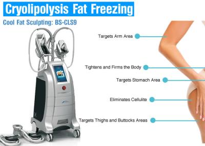 China Equipo de la pérdida de peso de Cryolipolysis que adelgaza la máquina en venta