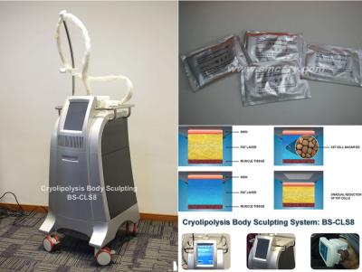 Cina Ente grasso di Cryolipolysis della gelata che dimagrisce attrezzatura bruciante grassa a macchina con tecnologia di raffreddamento in vendita