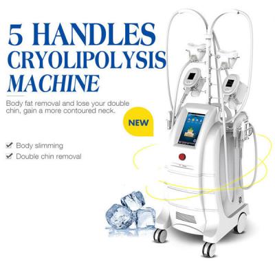 China Fetter Gefriehrmaschine-Körper-Sculpting Maschine 5 Griffe Cryolipolysis für Fettabbau zu verkaufen