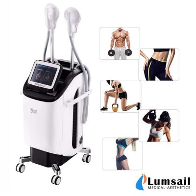 Chine Poignées électromagnétiques SME du stimulateur 2 de muscle de HIEMT amincissant la machine à vendre