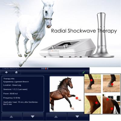 China Tendon Injury Equine Medical Physiotherapy Equipment for sale