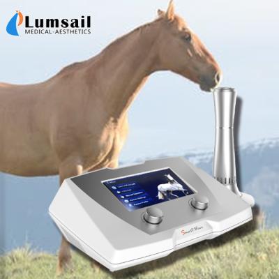 Cina Della clinica del cavallo di Shockwave di terapia di frequenza delle macchine 1 - 22 hertz per la malattia sospensiva del legamento in vendita