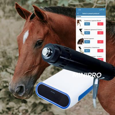 Cina Macchina equina di Shockwave del cavallo veterinario portatile per le lesioni sospensive in vendita