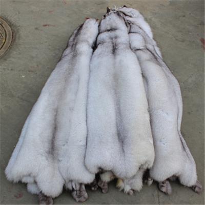 China High Quality Raw Real Blue Fox Raw Fur Pelt Raw Fur Material for sale