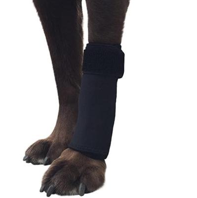 China Pet Stocked Supplies Front Leg Compression Sheath High Quality Protective Coiled Support Dog Supplies for sale