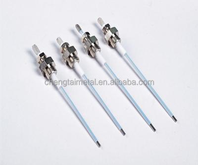 China Hotel Water Level Sensor/Sonda/Probe for Boiler for sale