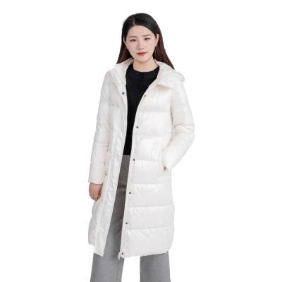 China Factory Fashion Design Hood Down Jacket Women's Clothing News Waterproof Winter Down Jacket Down Jacket for sale