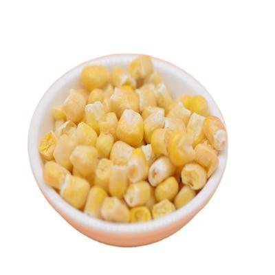 China Vegetables 2021 Items FD Freeze Dried Hot Corn Dried for sale