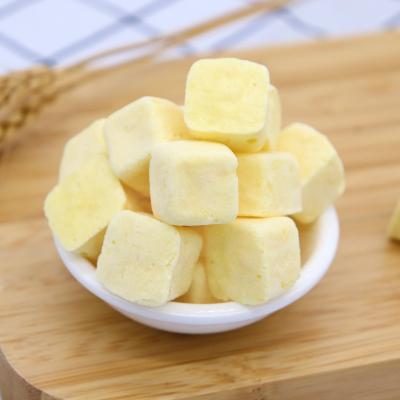 China 100% Dry Pure Natural Yellow Mango Baby Food Sugar Free Mango 1.3g Freeze Dried Cube Freeze Dried Yogurt For Baby for sale