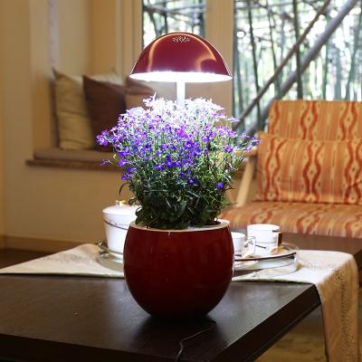 China Seed Seed Starting Indoor Garden Kitchen Plant Grow Light Lamp For Plant Grow for sale