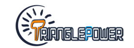 Shenzhen Triangle Power Sports Company