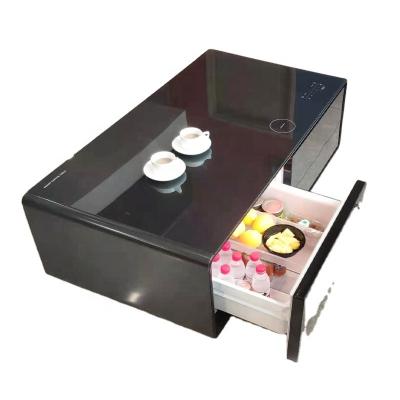 China New Design Smart Fridge Coffee Table (Height) Adjustable With Fridge USB Charger Music Speaker for sale