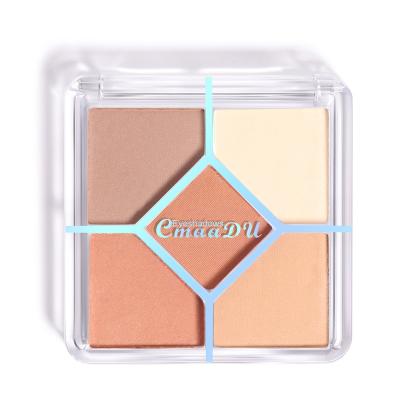 China High Dye Matte Pearl Eyeshadow Transparent Vegan Eyeshadow Cosmetic Clear Shimmer Waterproof Fully for sale